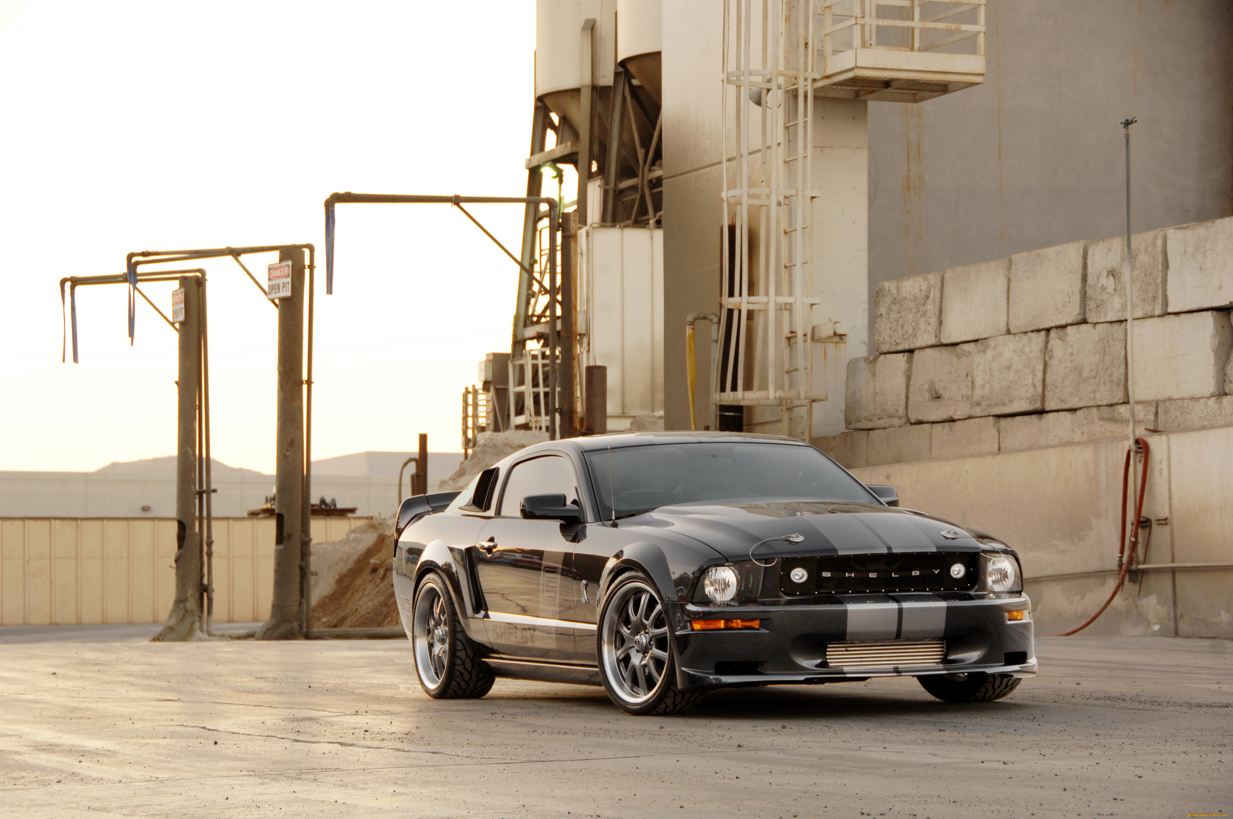 , mustang, shelby